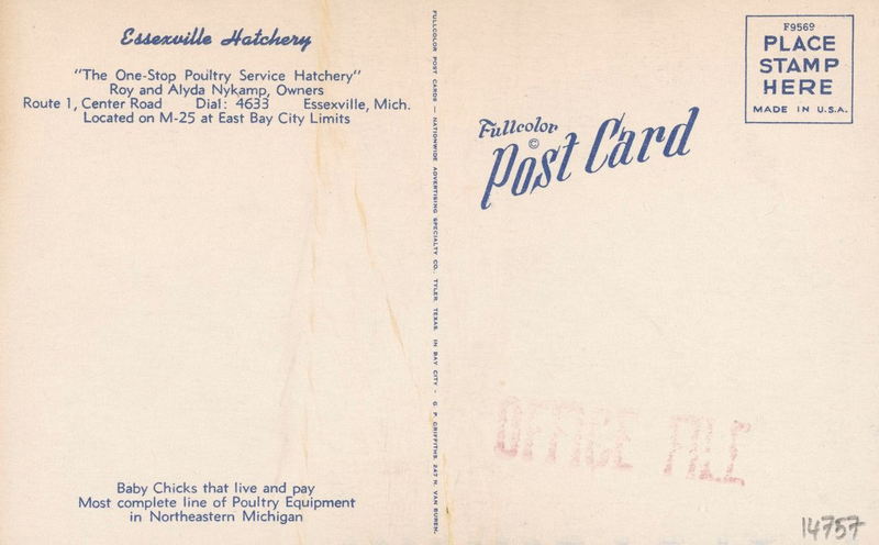 Essexville Hatchery - Vintage Postcard